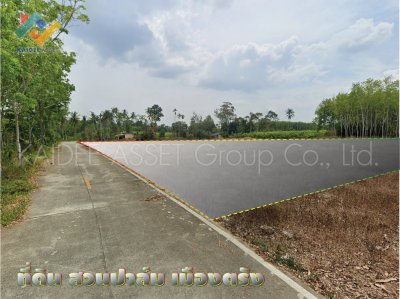 ที่ดิน โคกหล่อ เมืองตรัง ตรัง สวนปาล์ม ใกล้สนามบิน ราคาถูก