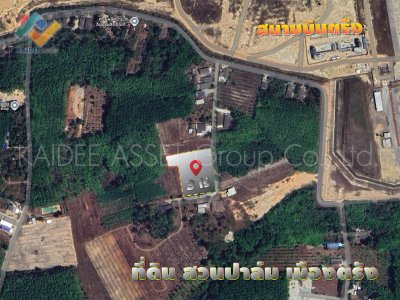 ที่ดิน โคกหล่อ เมืองตรัง ตรัง สวนปาล์ม ใกล้สนามบิน ราคาถูก