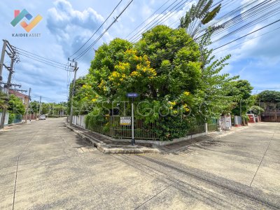 หมู่บ้าน ชัยพฤกษ์ ราชพฤกษ์-345 | บ้านเดี่ยว บางคูวัด ขายถูก