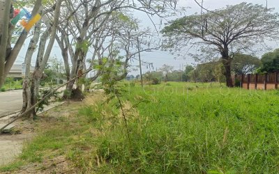 ที่ดิน วินด์เซอร์ ปาร์ค แอนด์ กอล์ฟคลับ สุวินทวงศ์ หนองจอก