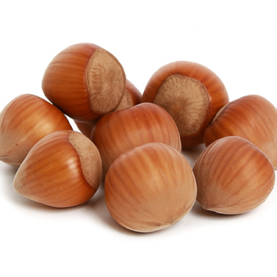 Hazelnut : เฮเซลนัท