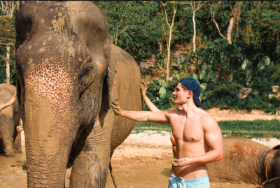 Krabi: Half-day Elephant Sanctuary