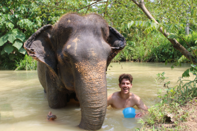 Krabi: Half-day Elephant Sanctuary