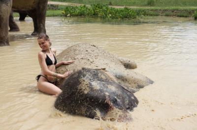 Krabi: Half-day Elephant Sanctuary