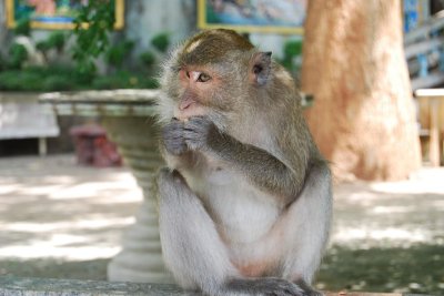 City Tour Krabi Town (Available 8-10 persons)