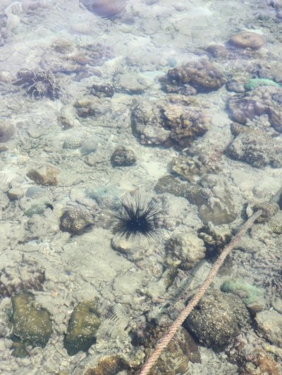 Hong Islands by speed boat