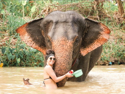 Krabi: Half-day Elephant Sanctuary