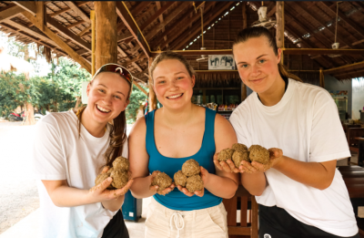 Krabi: Half-day Elephant Sanctuary