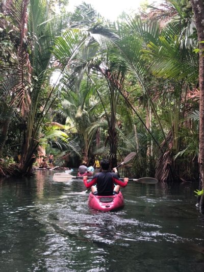 Kayaking & swimming at Klong Nam Sai (3 hrs.)
