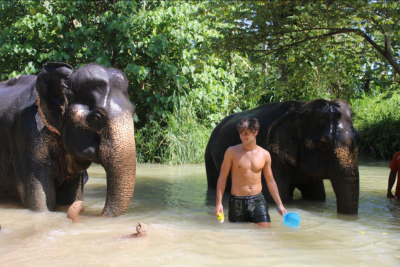 Krabi: Half-day Elephant Sanctuary