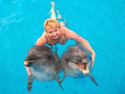 Dolphin Show - Phuket Dolphin Bay