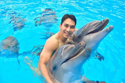 Dolphin Show - Phuket Dolphin Bay