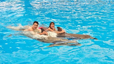 Dolphin Show - Phuket Dolphin Bay