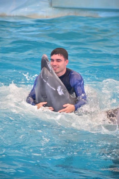 Dolphin Show - Phuket Dolphin Bay