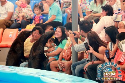 Dolphin Show - Phuket Dolphin Bay