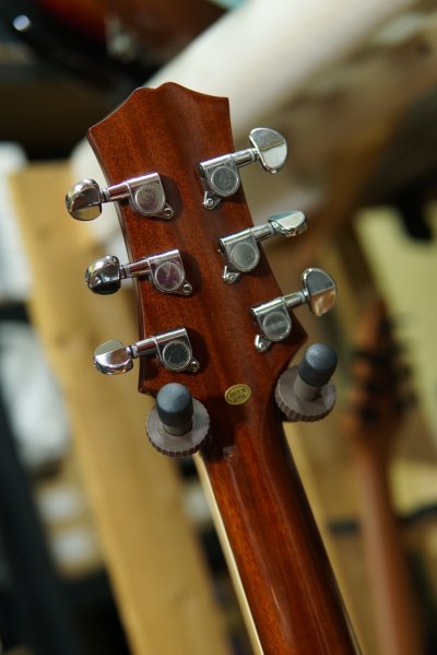 Acepro Guitars Phontom 22