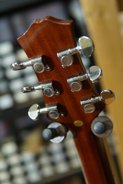 Acepro Guitars Phontom 22