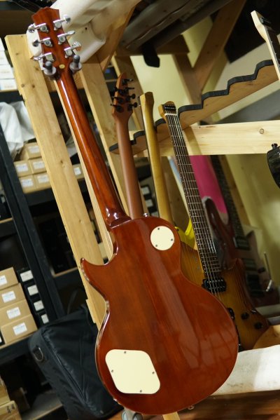 Acepro Guitars Phontom 22