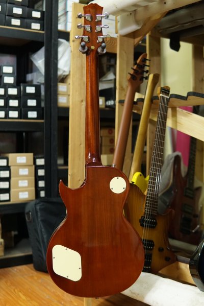 Acepro Guitars Phontom 22