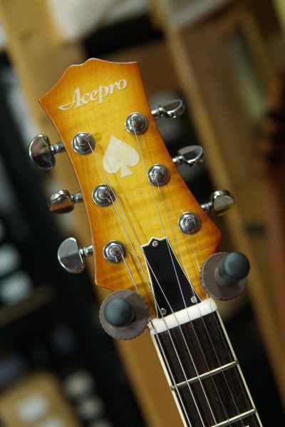 Acepro Guitars Phontom 22