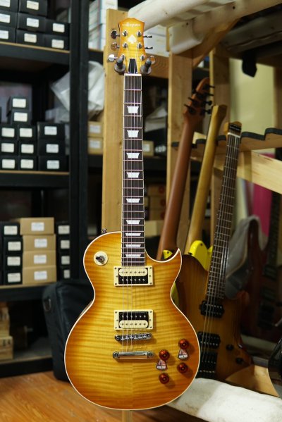 Acepro Guitars Phontom 22