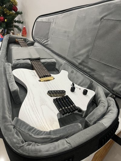 Astro Headless Guitar Bag