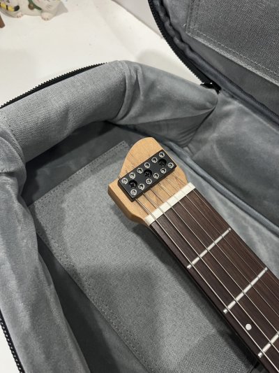 Astro Headless Guitar Bag