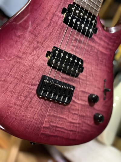 Drogo 6 Ruby Burst