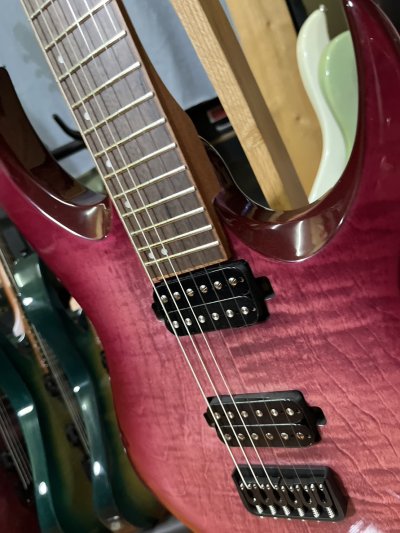 Drogo 6 Ruby Burst