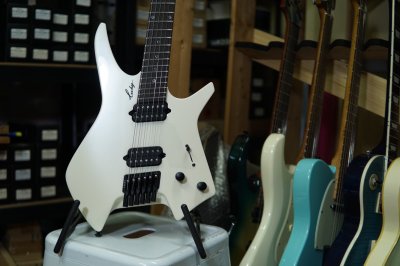 Leeky Guitars X10 White Rosewood