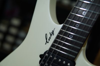 Leeky Guitars X10 White Rosewood