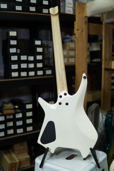 Leeky Guitars X10 White Rosewood