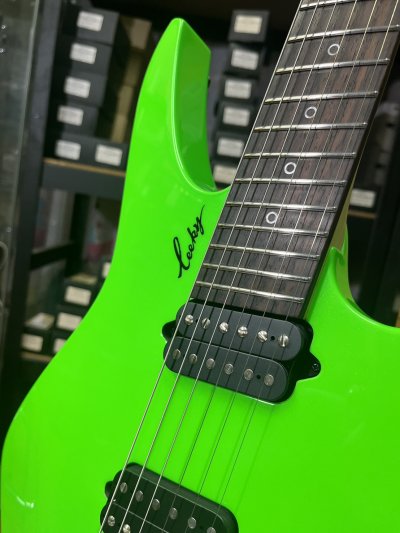 Leeky Guitars X10 Green Rosewood