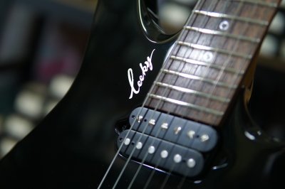 Leeky Guitars X20 Black