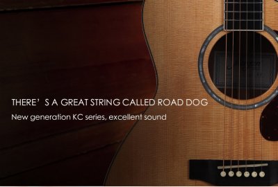 Road Dog Acoustic String KC10 (11-52) สายเคลือบ