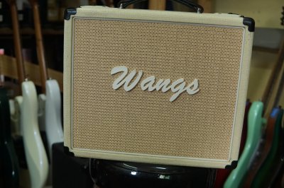 Wang Tube Amp VT-10