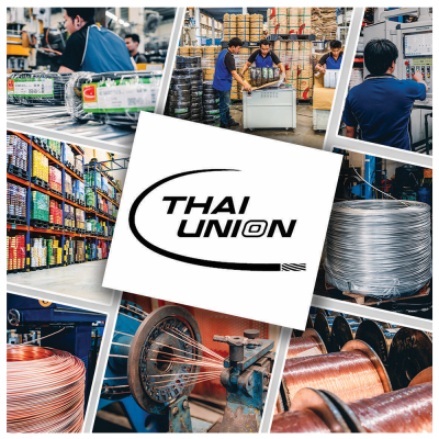 THAI UNION ไทยยูเนี่ยน THW - A 1x10 SQ.MM. สายแกนเดี่ยว (ม้วน 100 เมตร)