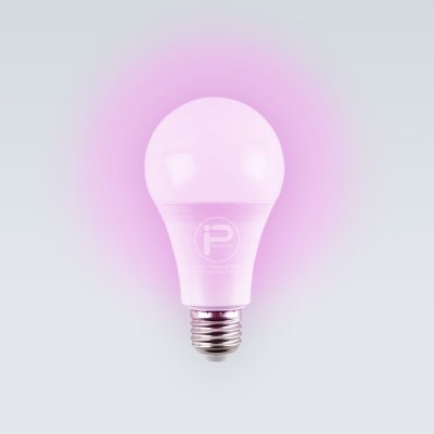 หลอดไฟปิงปอง ขนาด 5 วัตต์ 100 หลอด