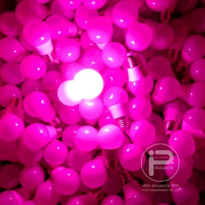 สายไฟระย้า ขั้วห้อยระย้า 5 เมตร พร้อมหลอดไฟปิงปอง 15 หลอด ขนาด 9 วัตต์