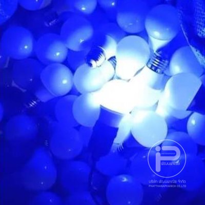 สายไฟระย้า ขั้วห้อยระย้า 10 เมตร พร้อมหลอดไฟปิงปอง 30 หลอด ขนาด 7 วัตต์