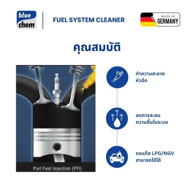 Fuel System Cleaner