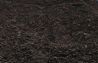 ดินปลูกต้นไม้