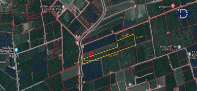 ขาย ที่ดินสวนมะพร้าว 31 ไร่ ต.ดอนกรวย อ.ดำเนินสะดวก จ.ราชบุรี ติดคลองส่งน้ำหัวโพ