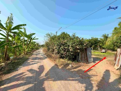 ขาย ที่ดินสวนมะพร้าว 31 ไร่ ต.ดอนกรวย อ.ดำเนินสะดวก จ.ราชบุรี ติดคลองส่งน้ำหัวโพ