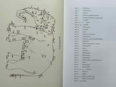 หนังสือ BOXSET ชุดช้างราชพาหนะ พิมพ์เก่าปี 42 สภาพไม่ผ่านใช้ เล่มใหญ่มาก