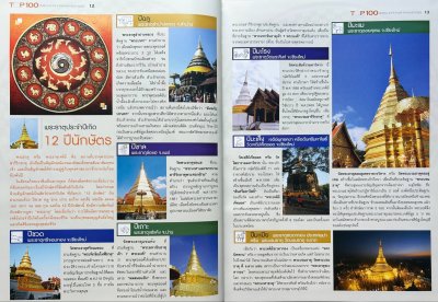 หนังสือ ชี้ตำหนิ Top 100 อันดับพระยอดนิยมเพื่อการลงทุน ปกแข็ง สภาพใหม่ ปี 2560