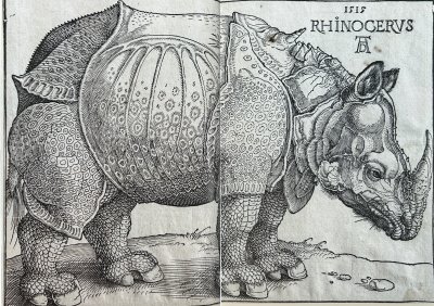 Albrecht Dürer | Norbert Wolf [HB /Used - Good]