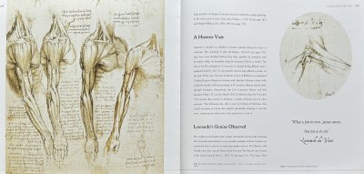 Leonardo da Vinci : Masterworks : Art in the Age of the Medici [HB /Used - Good]