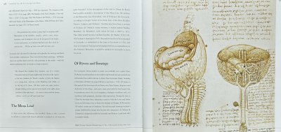 Leonardo da Vinci : Masterworks : Art in the Age of the Medici [HB /Used - Good]