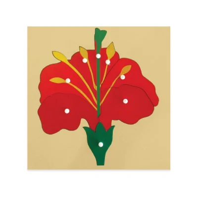 ต่อภาพรูปดอกไม้